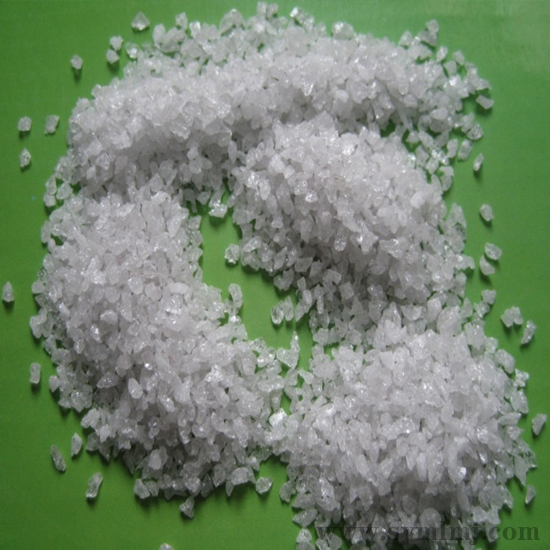 高堆密黄瓜视频在线观看