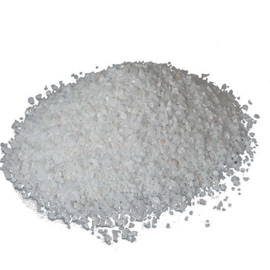 黄瓜视频在线观看24目